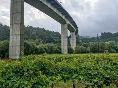 Üzüm bağında duran büyük beton bir üstgeçidin altından manzara