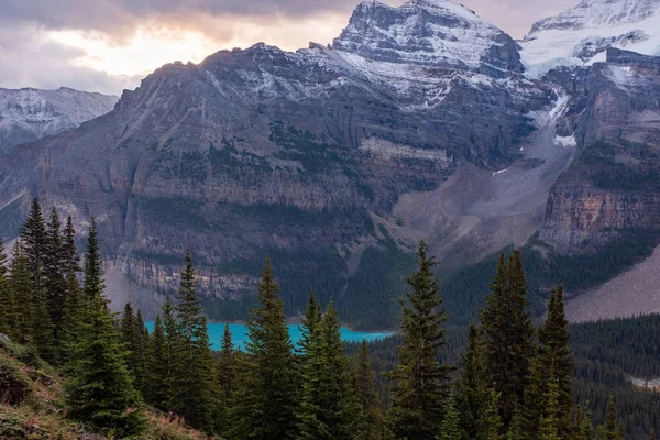 Sabah erken saatlerde 10 Tepe Vadisi 'ndeki Wenkchemma Sıradağları' nın Teselli Gölleri Yürüyüşü 'nde Moraine Gölü, Banff, Kanada ağaçlarının arasından bir bakış.