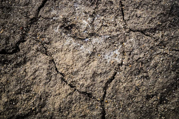 A textura da terra — Fotografia de Stock