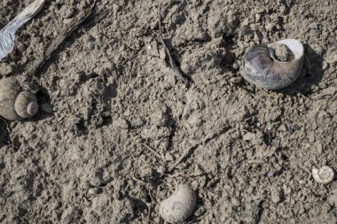 Cansız nehir kurutulmuş nehir yatağı doku