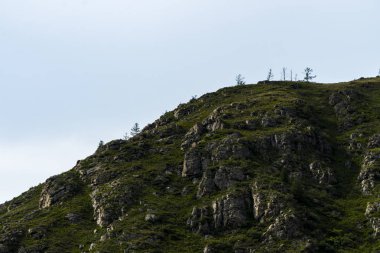 Bir dağ manzara arka plan görüntüsü. Rusya, Sibirya, Altay