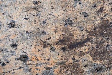 Taşın dokusu yosunla büyümüş. Arka plan görüntüsü o