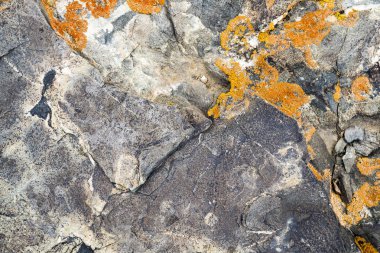 Taşın dokusu yosunla büyümüş. Arka plan görüntüsü o