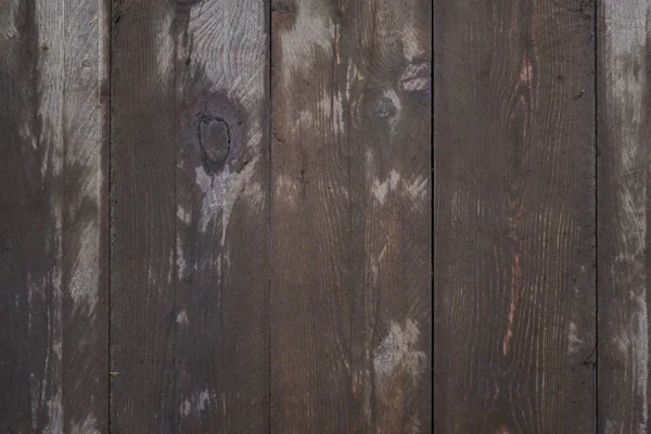 Textura de madera húmeda. Macro imagen de fondo de una madera oscura húmeda —  Fotos de Stock