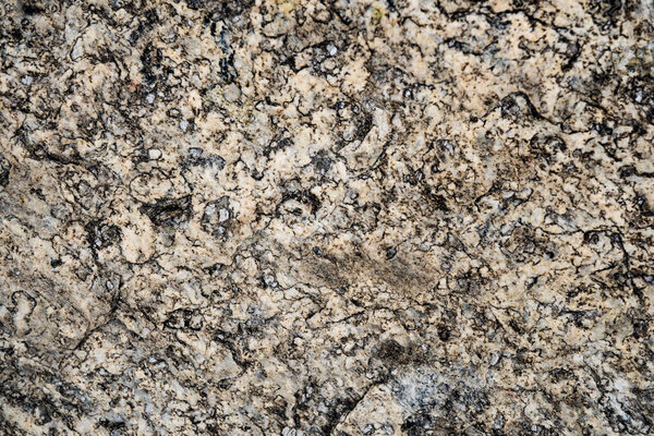 The texture of the stone overgrown with moss. Background image o