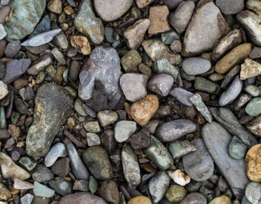 Sığ bir nehir taşının dokusu. Çakıl Arka Plan Görüntüsü