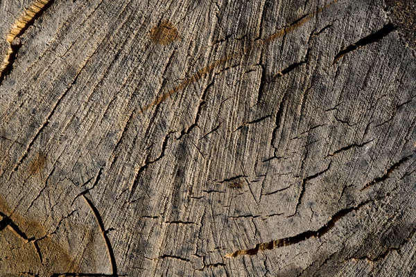 Texture di legno antico. Immagine di sfondo. Macro foto — Foto Stock