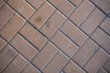 Çim ile büyümüş kaldırım levhaları Doku. Bir tabaka taşının arka plan görüntüsü