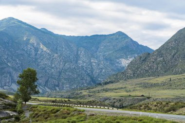 Bir dağ manzara arka plan görüntüsü. Rusya, Sibirya, Altay