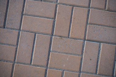 Çim ile büyümüş kaldırım levhaları Doku. Bir tabaka taşının arka plan görüntüsü