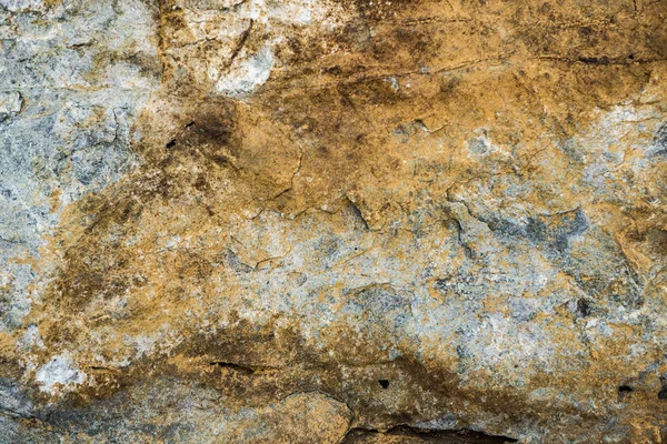 Taşın dokusu yosunla büyümüş. Arka plan görüntüsü o