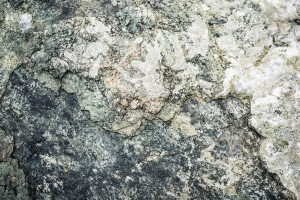 A textura da pedra coberta de musgo. Imagem de fundo o — Fotografia de Stock