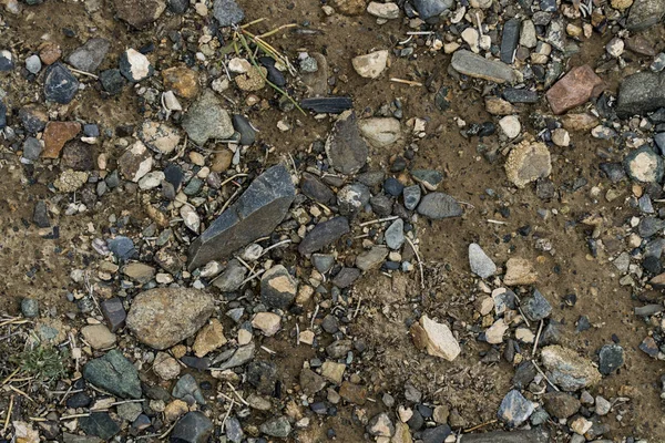 La textura de la piedra fina en el suelo con hierba y flores . —  Fotos de Stock