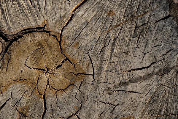 Textur aus altem Holz. Hintergrundbild. Makrofoto — Stockfoto