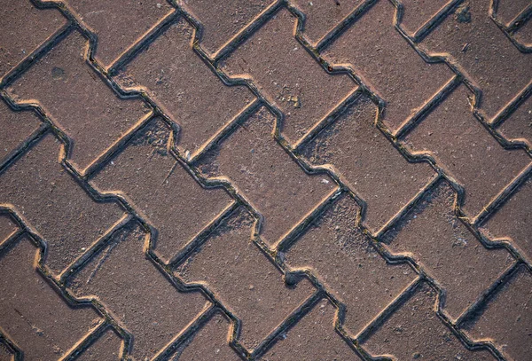 Textura Losas Pavimentación Cubiertas Hierba Imagen Fondo Una Piedra Estrato —  Fotos de Stock