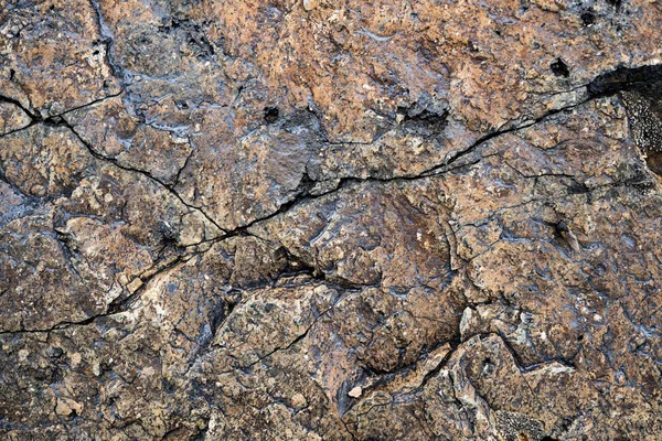 La texture de la pierre envahie de mousse. Image de fond o — Photo