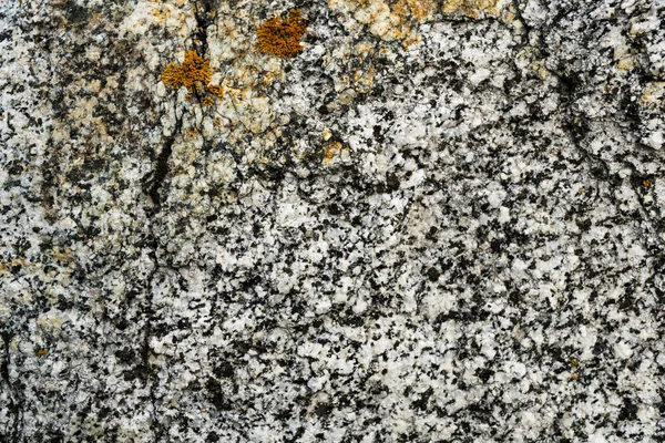 Tekstura kamienia nadrastające z mchem. Obraz tła o — Zdjęcie stockowe