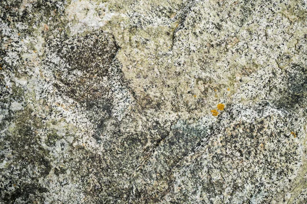 A textura da pedra coberta de musgo. Imagem de fundo o — Fotografia de Stock