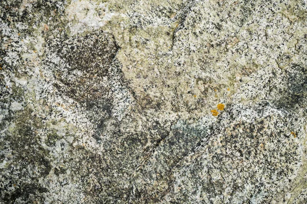 La textura de la piedra cubierta de musgo. Imagen de fondo o — Foto de Stock