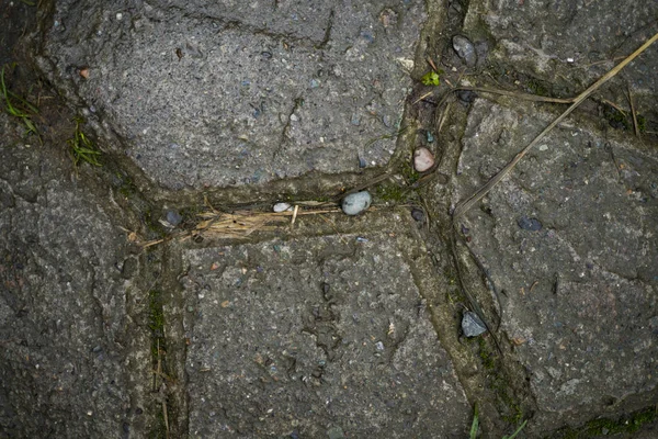 Textura de lajes de pavimentação coberto com grama. Imagem de fundo o — Fotografia de Stock