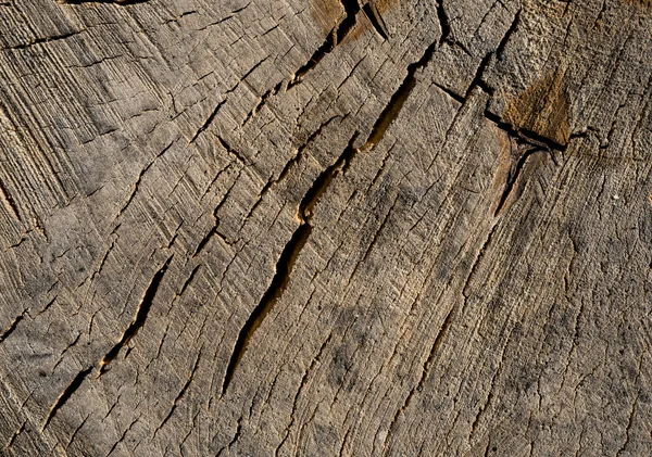 Textur aus altem Holz. Hintergrundbild. Makrofoto — Stockfoto