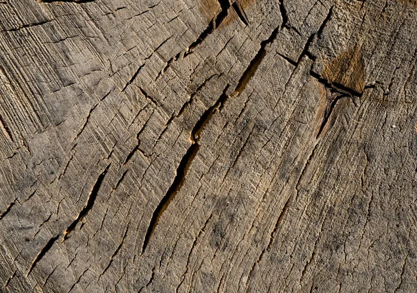 Eski ahşap doku. Arka plan görüntüsü. Makro fotoğraf — Stok fotoğraf