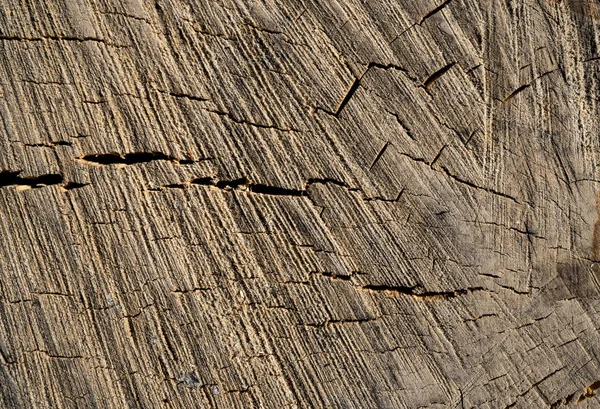 Texture di legno antico. Immagine di sfondo. Macro foto — Foto Stock