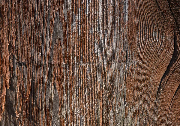 Texture of old wood. Background image. Macro photo — Stock Photo, Image