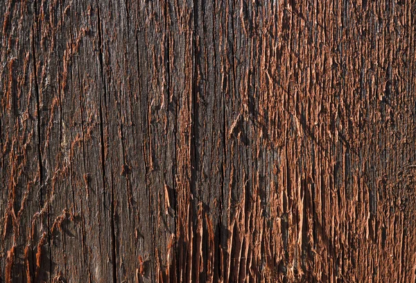 Texture of old wood. Background image. Macro photo — Stock Photo, Image