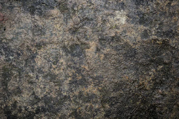 Textura de pedra molhada coberta com musgo. Imagem de fundo do macr — Fotografia de Stock