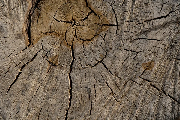 Texture di legno antico. Immagine di sfondo. Macro foto — Foto Stock