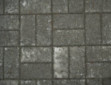 Çim ile büyümüş kaldırım levhaları Doku. Arka plan görüntüsü o