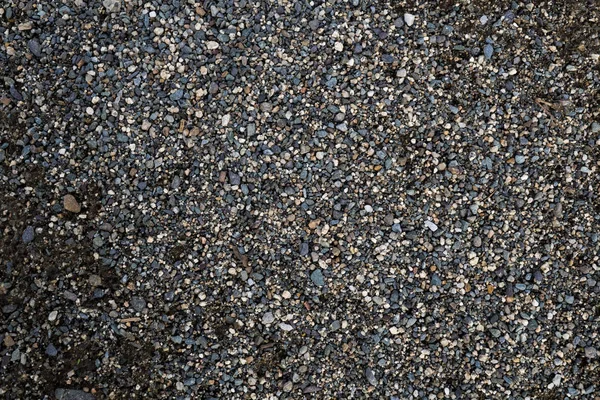 La texture d'une pierre de rivière peu profonde. Pebble Image de fond — Photo