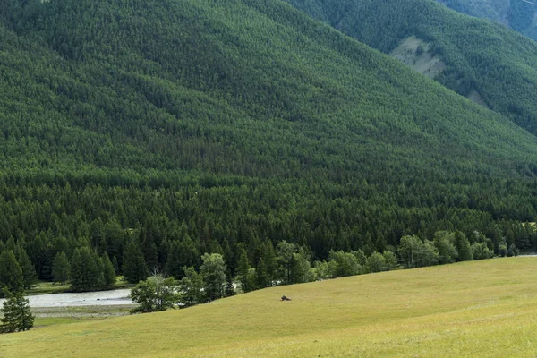 Background image of a mountain landscape. Russia, Siberia, Altai — Stock Photo, Image