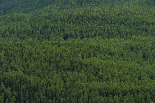 Imagem de fundo de uma paisagem de montanha. Rússia, Sibéria, Altai — Fotografia de Stock