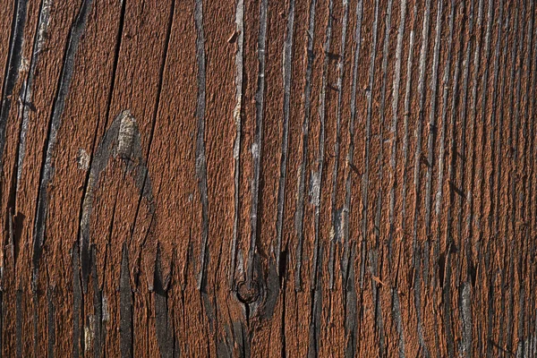 Texture of old wood. Background image. Macro photo — Stock Photo, Image