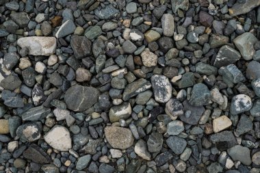 Sığ bir nehir taşının dokusu. Çakıl Arka Plan Görüntüsü
