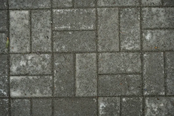 Textura de losas de pavimentación cubiertas de hierba. Imagen de fondo o — Foto de Stock