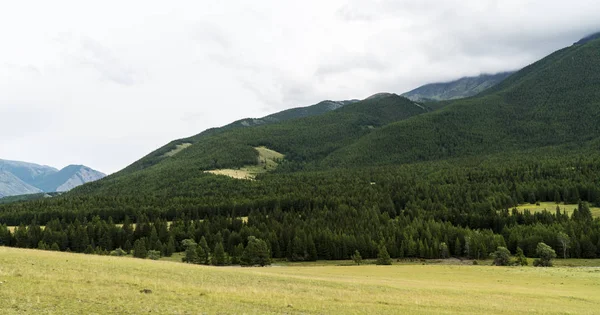 Background image of a mountain landscape. Russia, Siberia, Altai — Stock Photo, Image