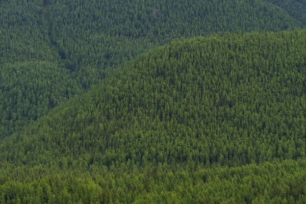 Immagine di sfondo di un paesaggio montano. Russia, Siberia, Altai — Foto Stock