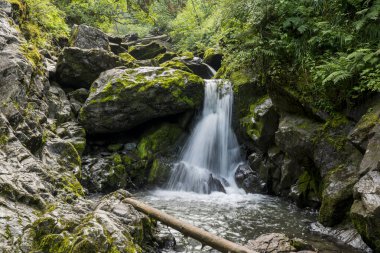 Şelaleler ve akıntılar ile Peyzaj dağ nehri. Dağ Al