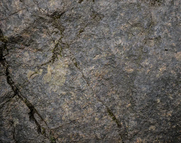 Tekstura mokrego kamienia pokryta mchem. Obraz tła MACR — Zdjęcie stockowe
