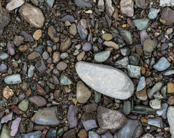 A textura de uma pedra rasa do rio. Imagem de fundo de seixo — Fotografia de Stock