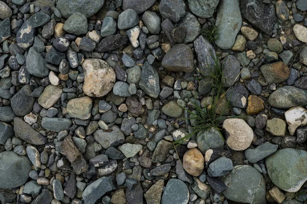 Die Textur eines flachen Flusssteins. Kieselstein Hintergrundbild — Stockfoto
