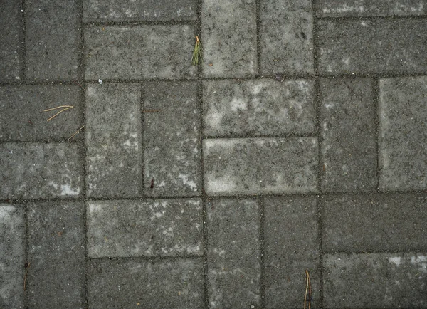 Texture de dalles de pavage recouvertes d'herbe. Image de fond o — Photo