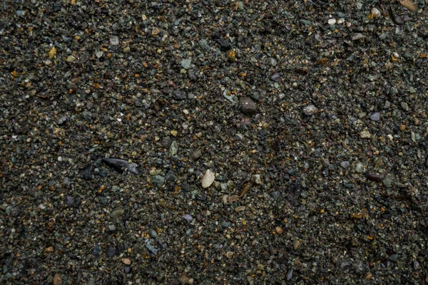 La texture d'une pierre de rivière peu profonde. Pebble Image de fond — Photo