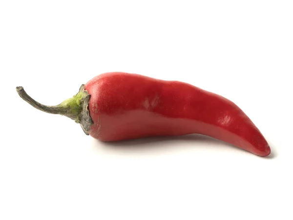 Isoliertes Objekt: scharfe rote Chilischoten — Stockfoto