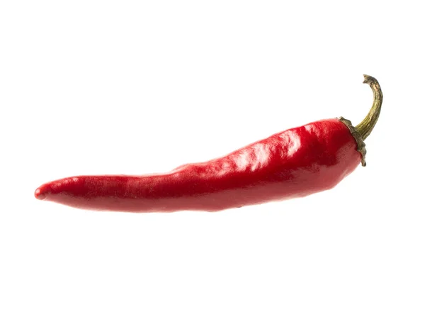 Objeto aislado: chiles rojos picantes — Foto de Stock