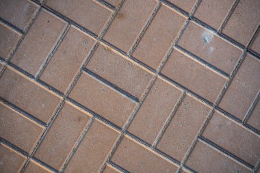 Çim ile büyümüş kaldırım levhaları Doku. Bir tabaka taşının arka plan görüntüsü