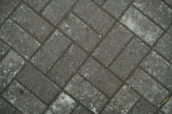 Texture of paving slabs overgrown with grass. Background image o — Stock Photo, Image